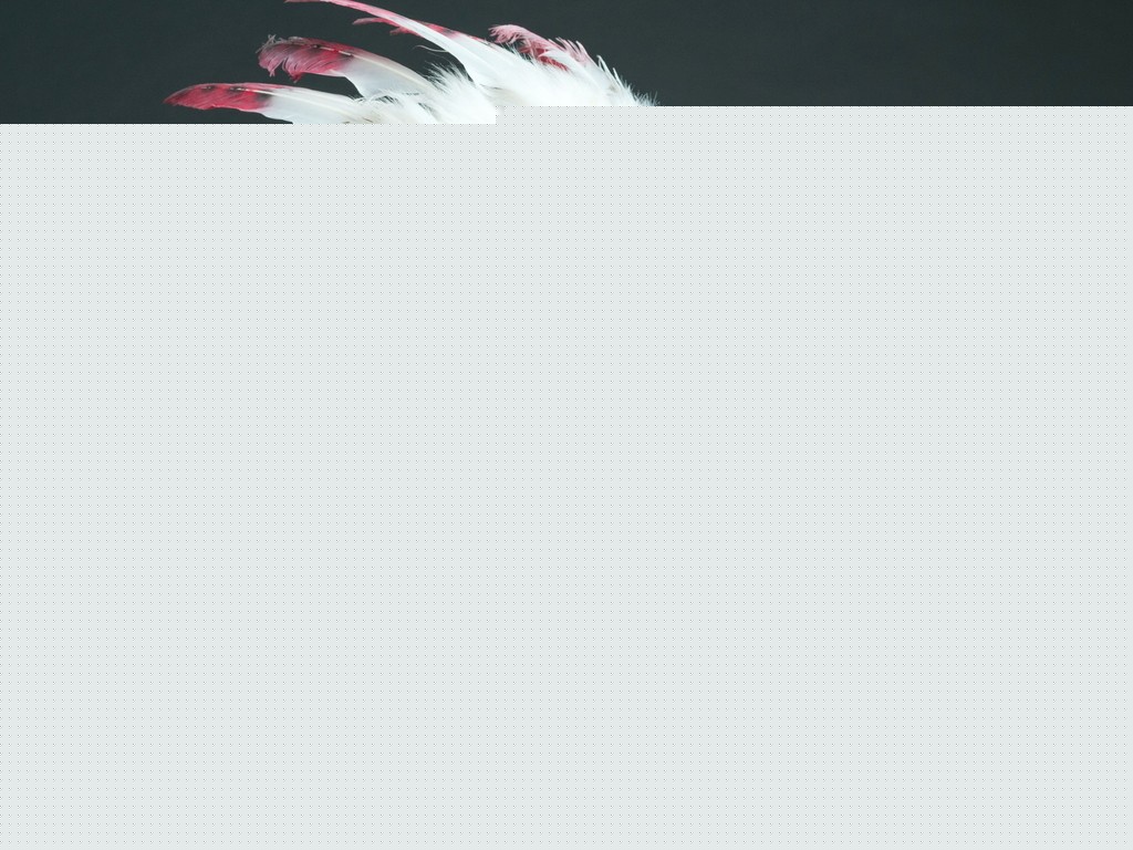 ʷʵ